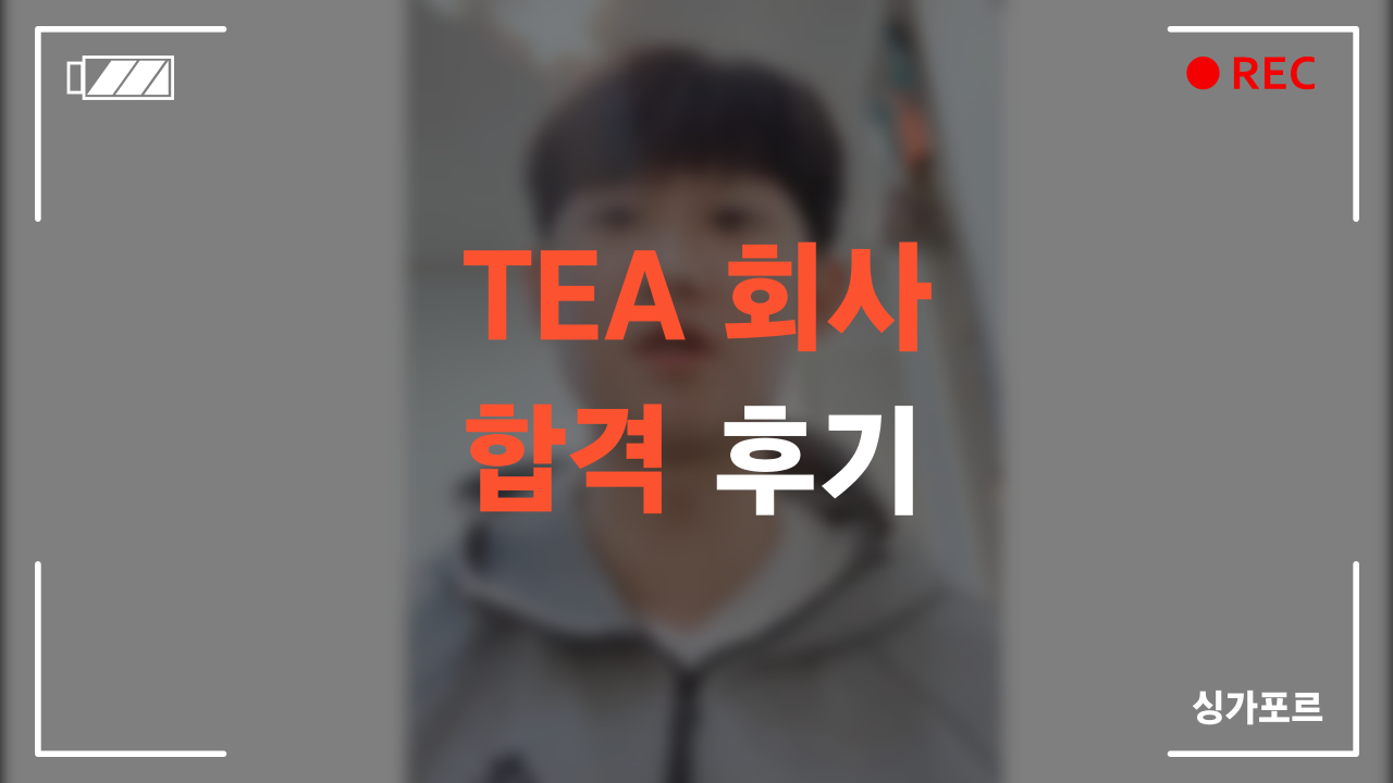 TEA 회사 합격 후기