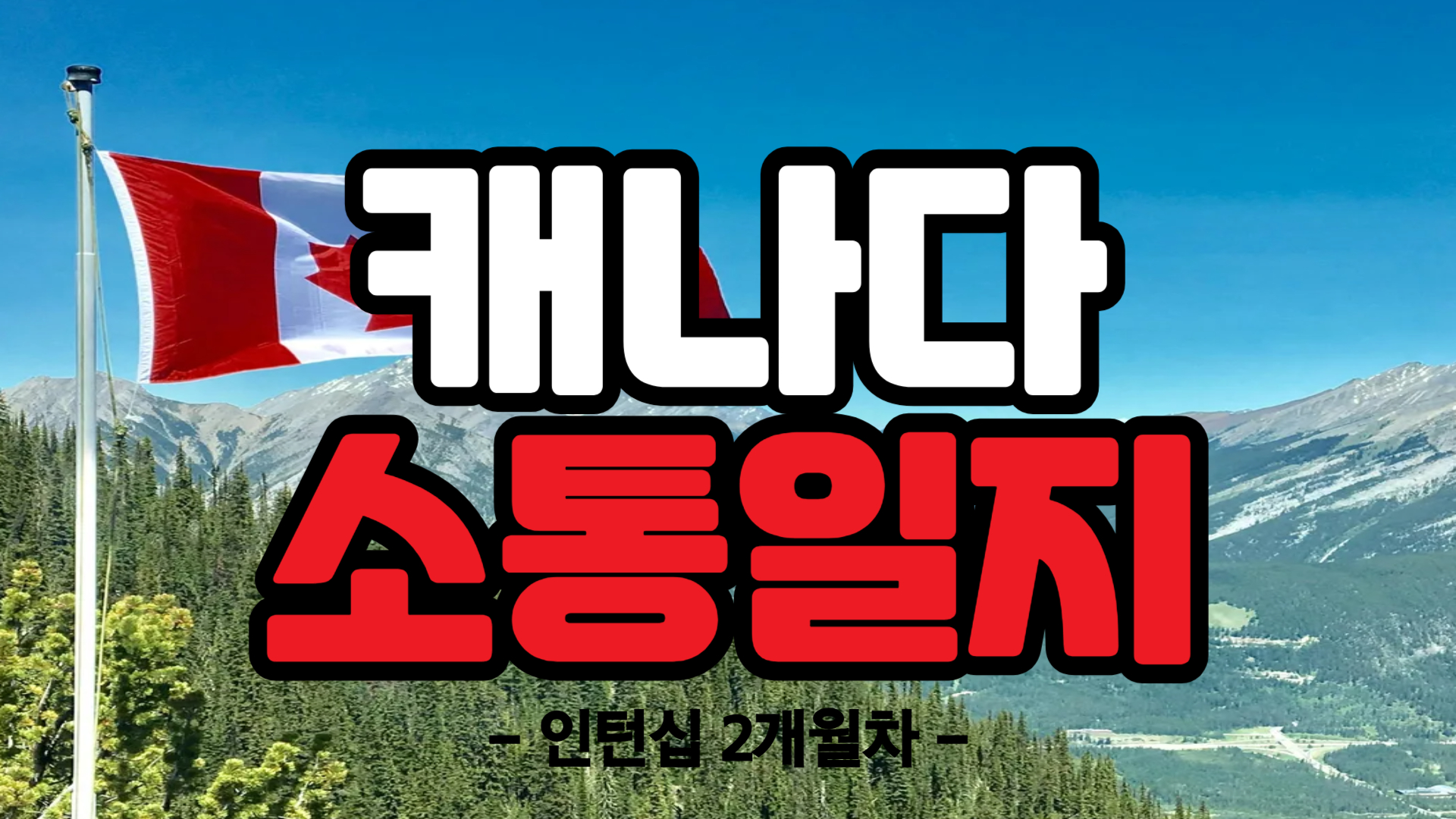 [캐나다] 인턴십 2개월차