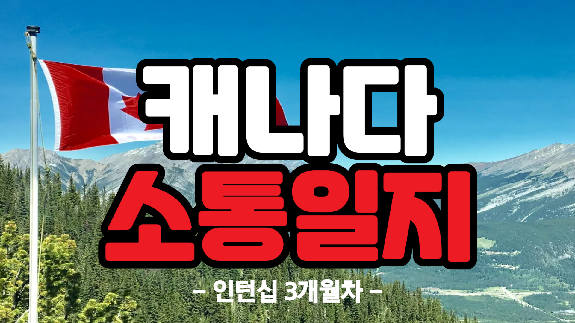 [캐나다] 인턴십 3개월차
