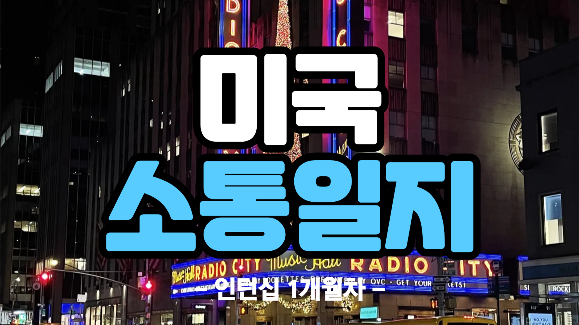 [미국] 인턴십 1개월차 (24/11/21~24/12/01)