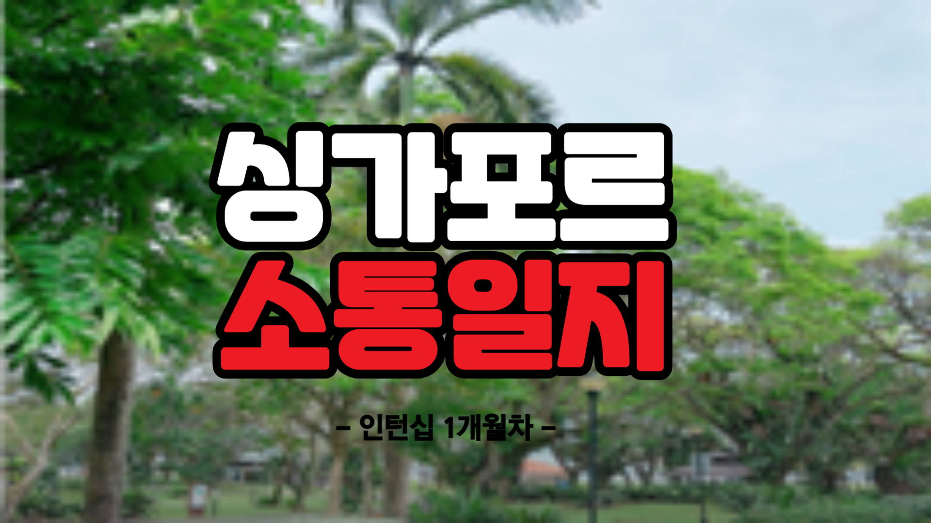 [싱가포르] 인턴십 1개월차 (25/02/03~25/02/09)
