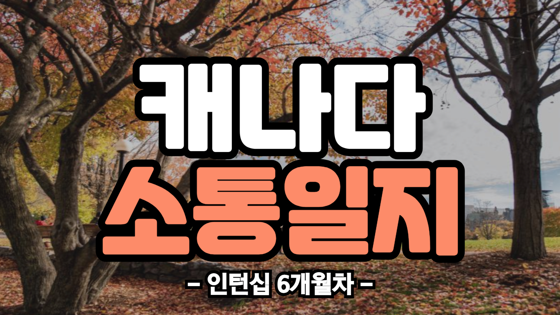 [캐나다] 인턴십 6개월차 (25/02/17~25/02/23)