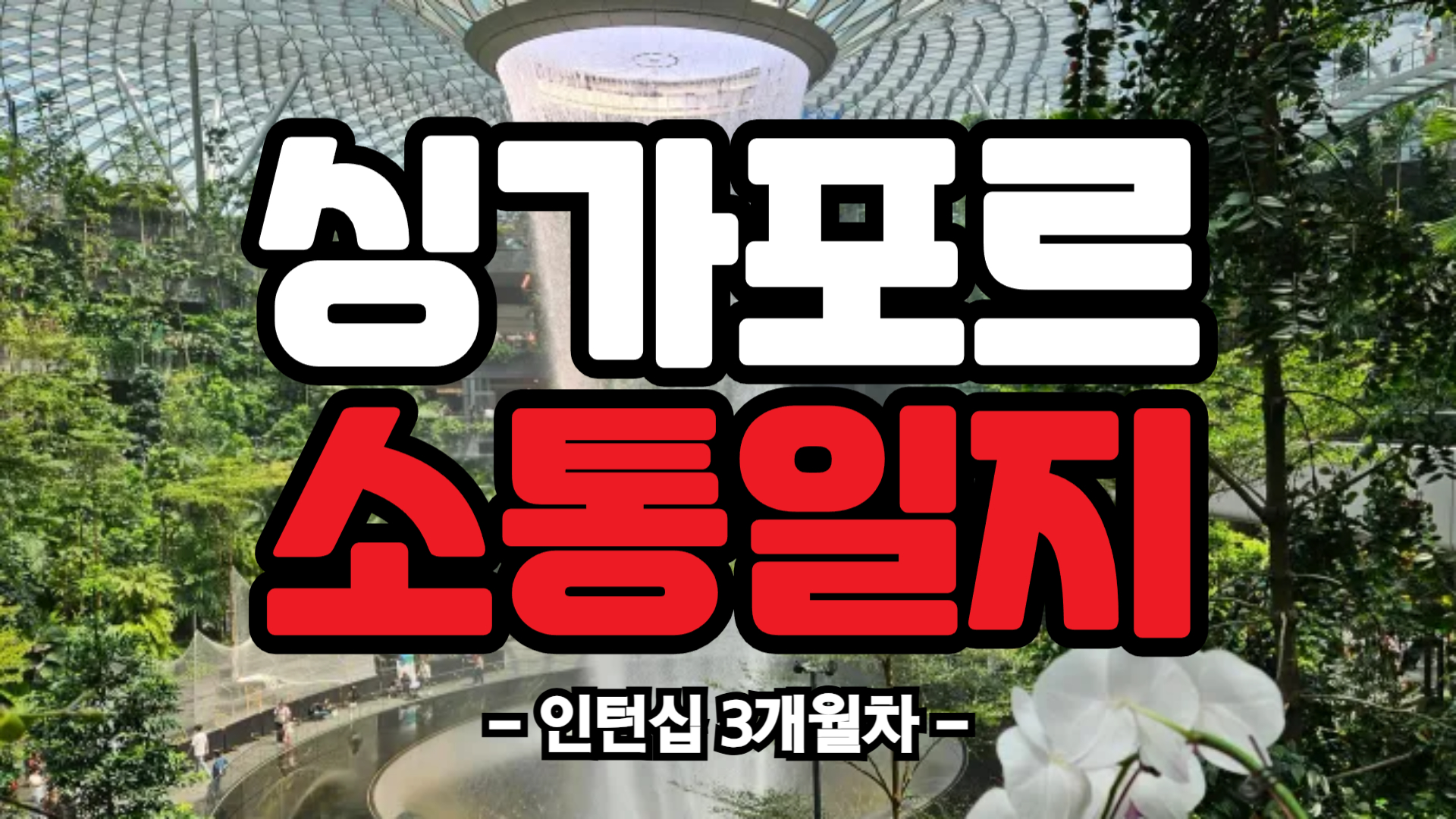 [싱가포르] 인턴십 3개월차 (25/05/04~25/05/10)